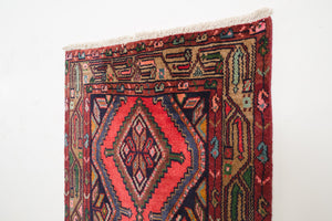 2.5x10 Persian Rug | BAZUR