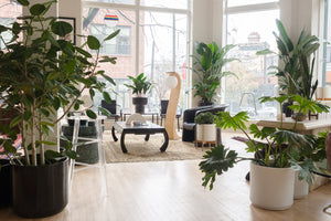 Lucite Stool