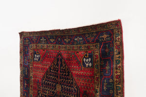4x8.5 Persian Rug | BASTAM