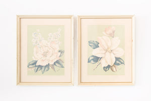 Framed Botanical Prints
