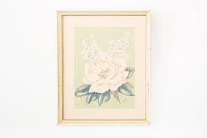 Framed Botanical Prints