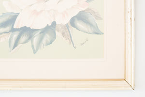 Framed Botanical Prints