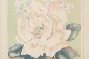 Framed Botanical Prints