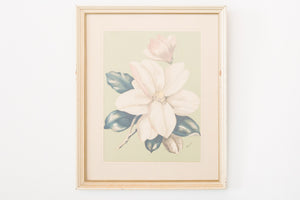 Framed Botanical Prints