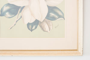 Framed Botanical Prints