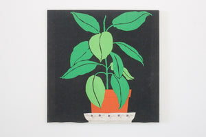 Botanical Screen Print