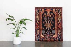 4x6 Persian Rug | BEHNIA