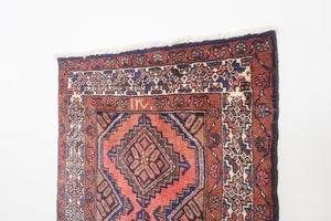 2.5x10 Persian Rug | BORNA