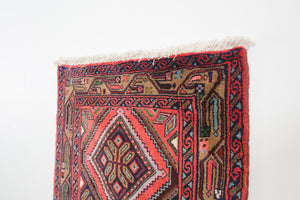2.5x10 Persian Rug | CHAVOSH