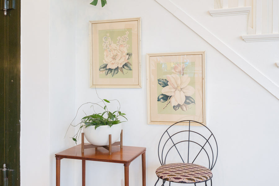 Framed Botanical Prints