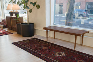 3x10 Persian Rug | BAZAN