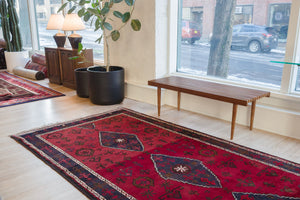 4.5x9.5 Persian Rug | BARZIN