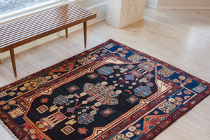 4x6 Persian Rug | BEHNIA