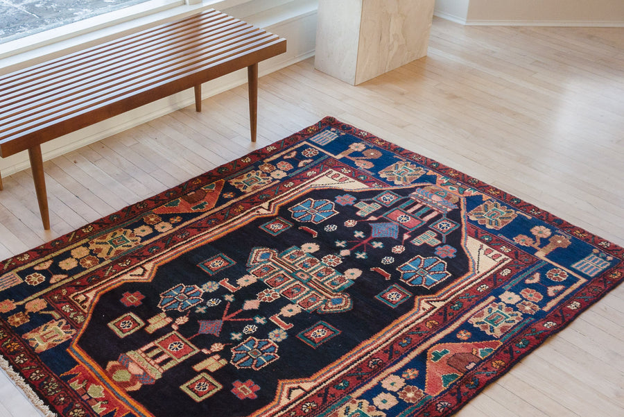 4x6 Persian Rug | BEHNIA