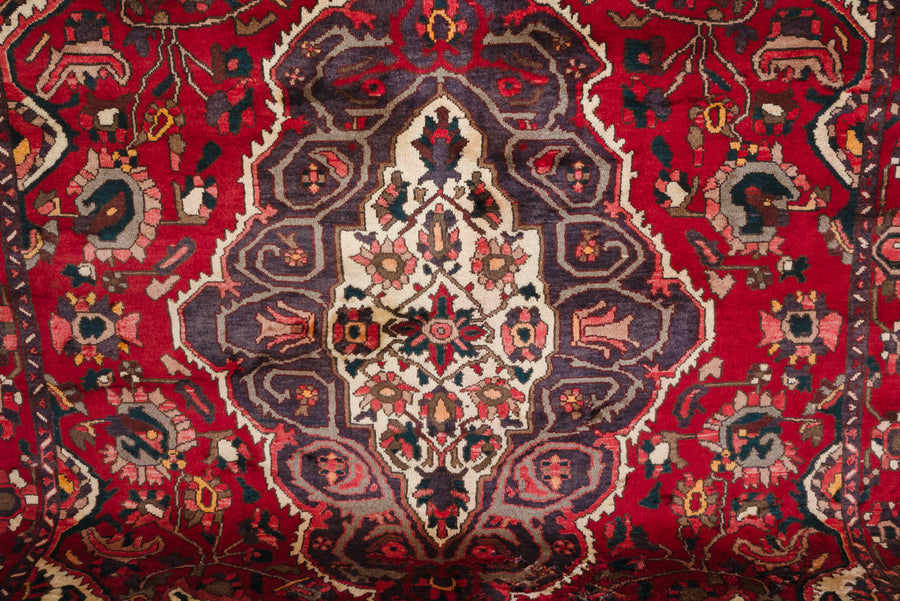 7x10 Persian Rug | DANA