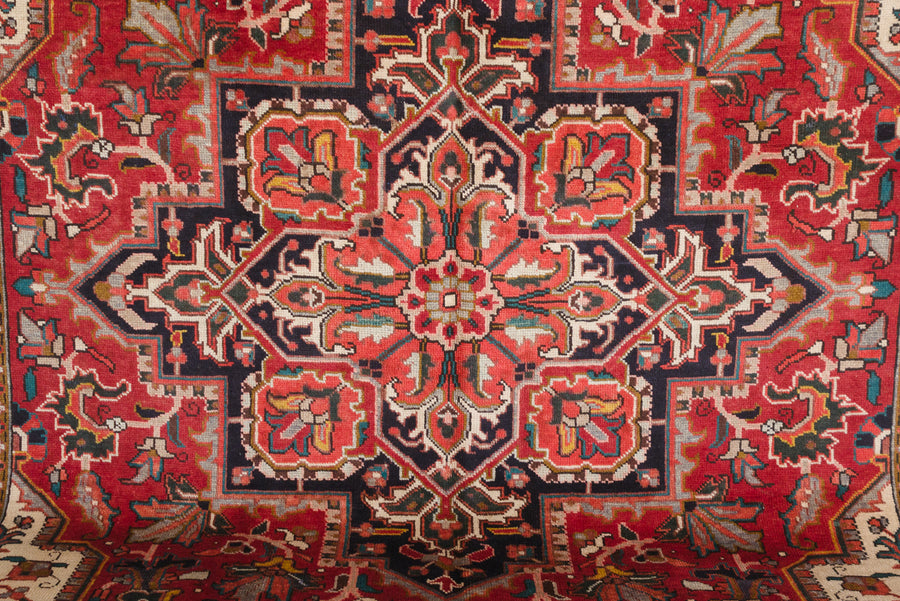 6.5x10 Persian Rug | DANIYAL