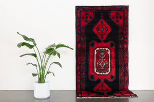 4x8 Persian Rug | FARID