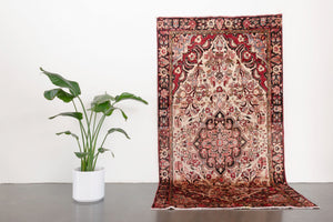 5x10 Persian Rug | FARHAN