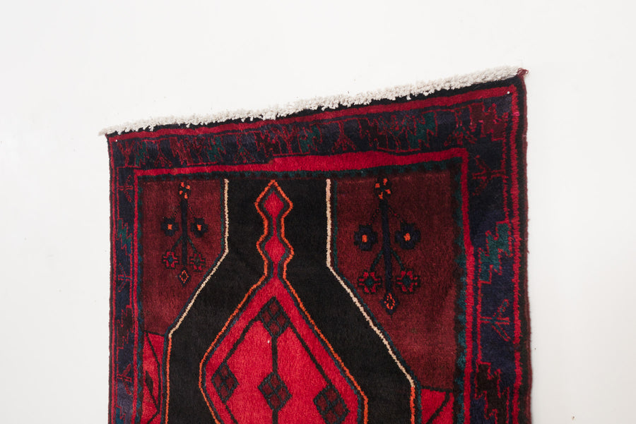 3.5x8 Persian Rug | FARHOOD
