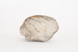 Petrified Stone