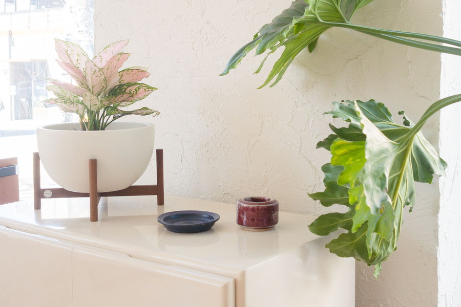 Red Studio Pottery Dish