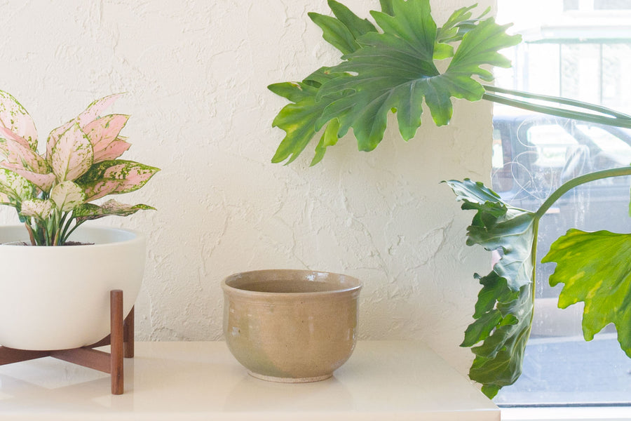 Green Studio Pottery Bowl