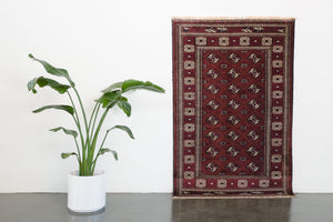 4x6 Persian Rug | DANESH