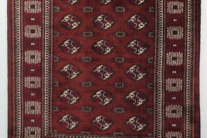 4x6 Persian Rug | DANESH