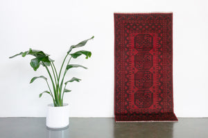3x6.5 Afghan Rug | HASK