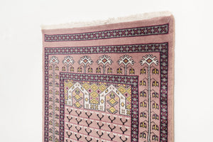 3x10 Peshawar Bokhara Rug | JAAVON