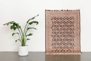 4x6 Peshawar Bokhara Rug | KAAN