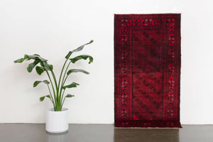 3.5x6.5 Afghan Rug | KHALO