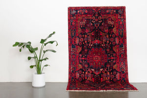 5x9 Persian Rug | FIROOZ