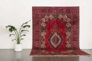 7x10 Persian Rug | HADI