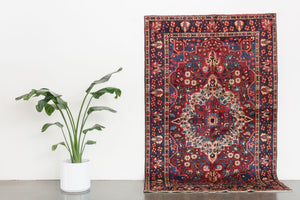 5x8 Persian Rug | HASHIM