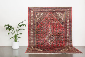 7x10 Persian Rug | HAFEZ