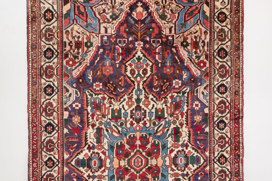 5.5x10 Persian Rug | HAMID