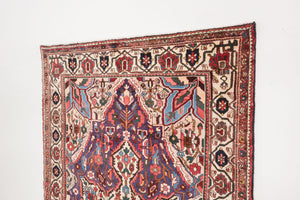 5.5x10 Persian Rug | HAMID
