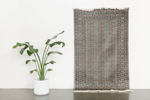 4x7 Peshawar Bokhara Rug | JABEER