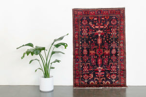 4x7 Persian Rug | HAZHIR