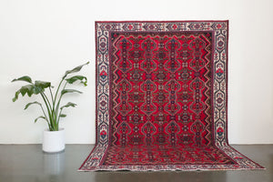 7x10 Persian Rug | HORMOZ