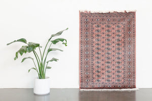 4x6 Peshawar Bokhara Rug | NABI