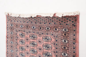 4x6 Peshawar Bokhara Rug | NABI