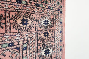 4x6 Peshawar Bokhara Rug | NABI