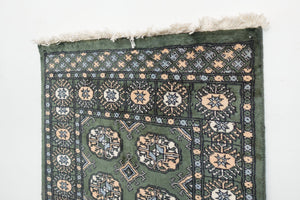 2.5x4 Peshawar Bokhara Rug | ZIMRI