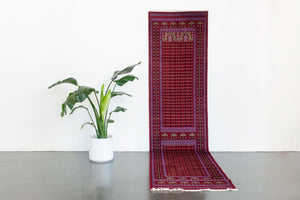 3x12 Peshwar Bokhara Rug | HAANI