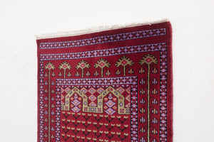 3x12 Peshwar Bokhara Rug | HAANI