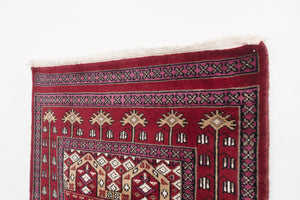 3x12 Peshwar Bokhara Rug | Dareshak