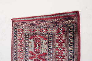 2.5x9.5 Afghan Rug | ARJOMAND