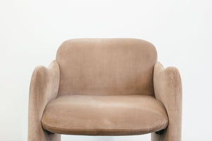 Minimalist Velvet Chairs